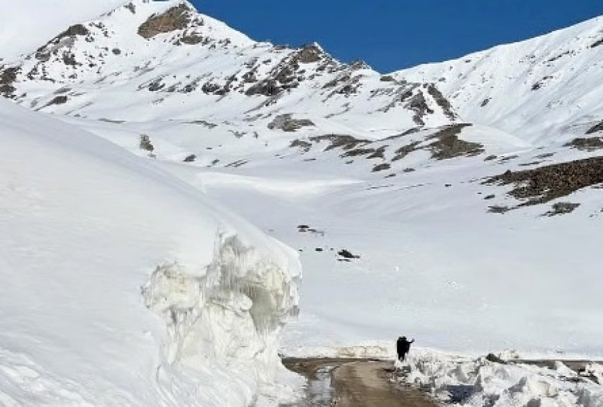 रोहतांग के लिए पर्यटकों की आवाजाही शुरू,पहले दिन लगभग 800 वाहनों में पर्यटक पहुंचे रोहतांग