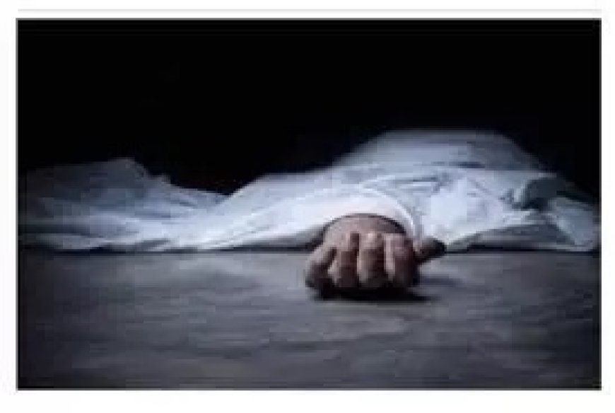 औद्योगिक क्षेत्र परवाणू के टिकरी में एचटी लाइन की चपेट में आने से दो युवकों की मौत