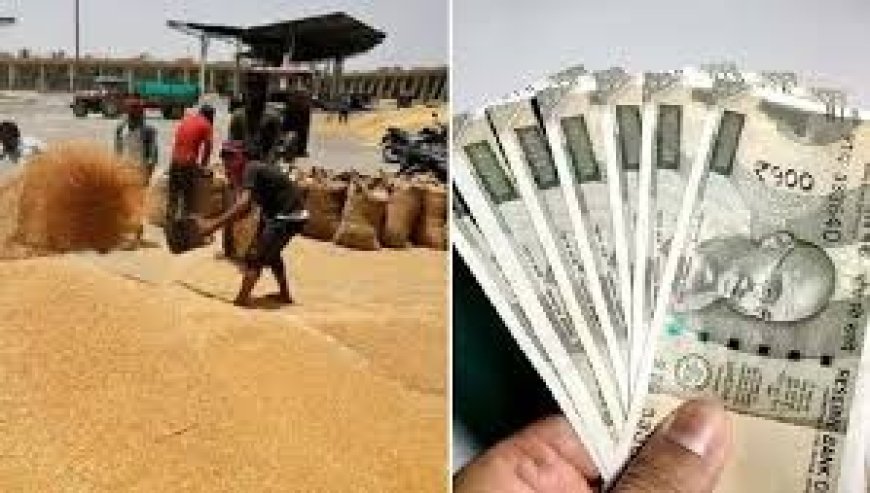 गेहूं की फसल का किसानों को 7.25 करोड़ का भुगतान , सरकार ने 2425 रूपये प्रति क्विंटल , एमएसपी की दर से ख़रीदा गेहूं