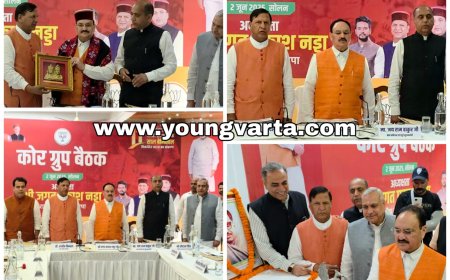 भाजपा के राष्ट्रीय अध्यक्ष जेपी नड्डा ने की प्रदेश कोर ग्रुप की बैठक