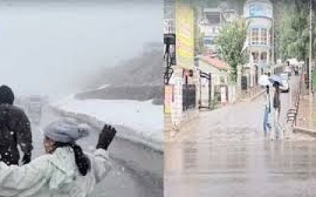 प्रदेश के कई भागों में बारिश का दाैर लगातार जारी,वहीं लाहाैल की चोटियों पर जून में भी बर्फबारी जारी 