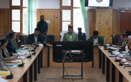 राजस्व मंत्री ने कल्पा विकास खंड के तहत चल रहे विकासात्मक कार्यों को समय पर पूर्ण करने के दिए  निर्देश  