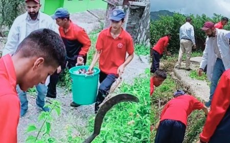 आयुष विभाग पनोग ने विश्व पर्यावरण दिवस पर रैली निकाल कर लोगों को किया जागरूक  