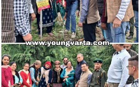 विश्व पर्यावरण दिवस ठियोग विधानसभा में संजय टंडन अगुवाई में “एक पेड़ माँ के नाम” अभियान के तहत पौधारोपण