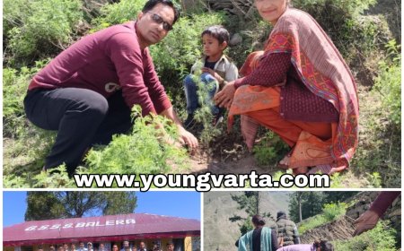हिमाचल के इस जिला के 11 विद्यालयों में एक पेड़ मां के नाम-2 का आगाज, पहले दिन रोपे 585 पौधे
