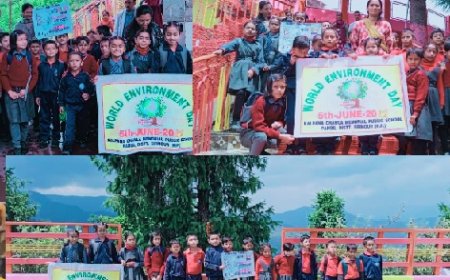 KCM  पब्लिक स्कूल पनोग ने शैक्षणिक भ्रमण के दौरान माता भंगाइनी मंदिर हरिपुरधार में चलाया प्लास्टिक हटाओ अभियान