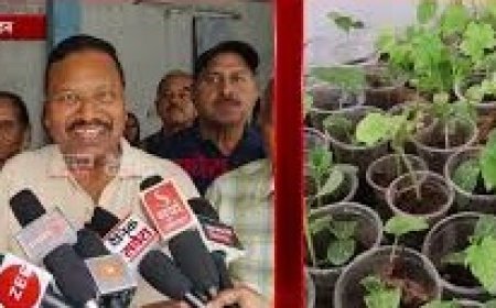 वाल्मीकि समाज से जुड़े विभिन्न मुद्दों पर नाहन में मंथन,समाज से जुड़े लोगों की समस्याओं पर किया जा रहा मंथन