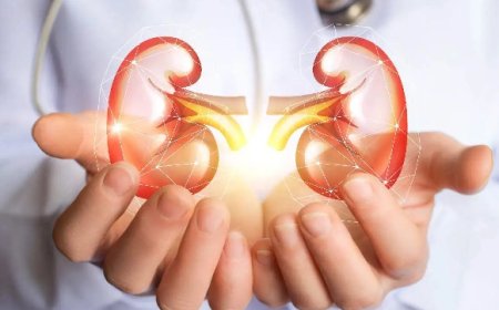 हिमाचल किडनी की बीमारी के चपेट में आ रहे लोग, शिमला जिले में सर्वाधिक 39.9 प्रतिशत मरीज