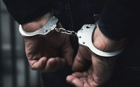 चंबा में हुए सवा करोड़ रुपये के सेब पौधो के खरीद घोटाले में कनिष्ठ अभियंता और पंचायत सचिव गिरफ्तार 