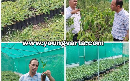 पर्यावरण संरक्षण के लिए जैव विविधता और जनसहयोग आवश्यक : रजनीश महाजन 