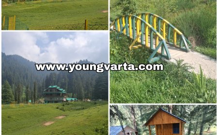 भुलाह का बायोडायवर्सिटी पार्क बना देशभर के पर्यटकों का पसंदीदा ठिकाना , ट्री हाउस और ईको टूरिज्म का अनूठा संगम है पार्क