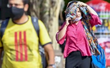 मौसम के तीखे तेवरों के बीच आधा हिमाचल लू की चपेट में, पहाड़ी क्षेत्रों में भी गर्मी से छूटने लगे पसीने