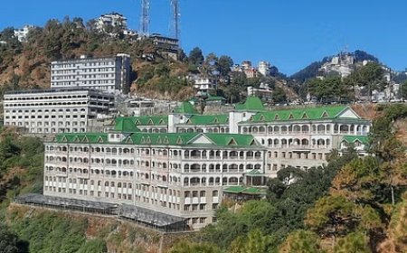 अफसरों की गाड़ियों व तारादेवी रेस्ट हाउस को अटैच करने का आदेश, जानिए पूरा मामला 