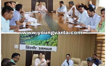 मानसून में आपदा से निपटने के लिए तत्पर रहे विभाग , उपायुक्त ने अधिकारियों को दिए आवश्यक निर्देश