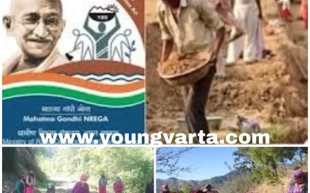 बिना धन के कैसे होंगे ग्राम पंचायतों में विकास कार्य , केंद्र सरकार ने रोका मनरेगा का बजट 