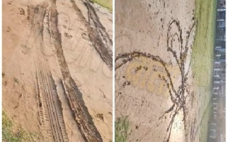 पांवटा साहिब का खेल मैदान बना पार्किंग स्थल, गाड़ियों की अवैध पार्किंग के चलते बुरी तरह क्षतिग्रस्त