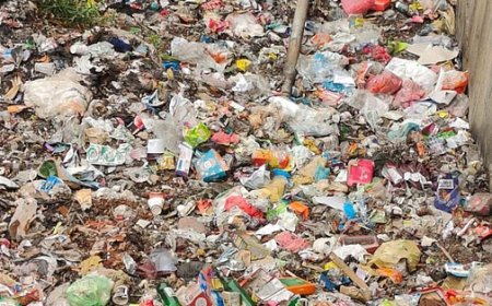 गगल एयरपोर्ट के आसपास लगते क्षेत्र में लगे कचरे के ढेर और मीट के अवशेष बन सकते हवाई हादसे का कारण  