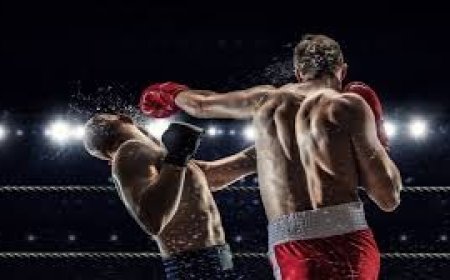 शिमला के रिज मैदान पर 22 जून को इंटरनेशनल प्रो-बॉक्सिंग चैंपियनशिप का होगा भव्य आयोजन   