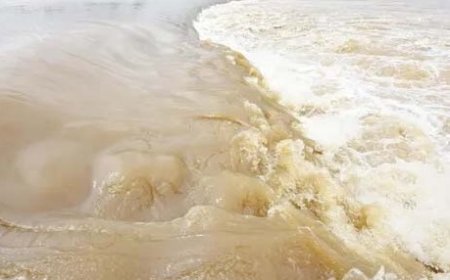 सतलुज नदी उफान पर,नदी के किनारे जाने पर प्रतिबंध, एसजेवीएन ने जारी की एडवाइजरी