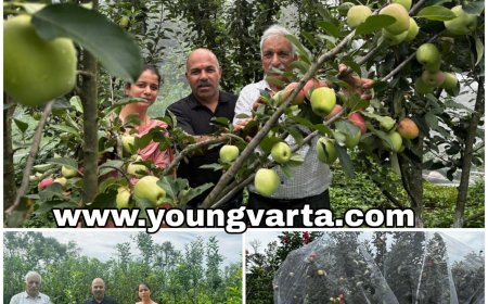 बागवानों की उपज के विपणन की व्यवस्था करेगी एपीएमसी , बागवानी की क्रांति ला रही है एचपीशिवा परियोजना : अजय शर्मा