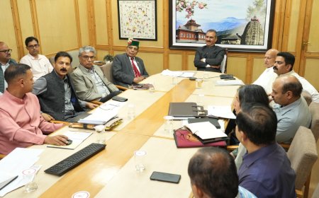 प्रदेश में छह नए दुग्ध संयंत्र स्थापित किए जाएंगे , पशुपालन विभाग की उच्च स्तरीय बैठक में बोले , मुख्यमंत्री