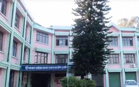 प्रदेश में प्रारंभिक शिक्षा विभाग के तहत टीजीटी के 937 पदों पर निकली भर्ती को लेकर अभ्यर्थियों में उत्साह