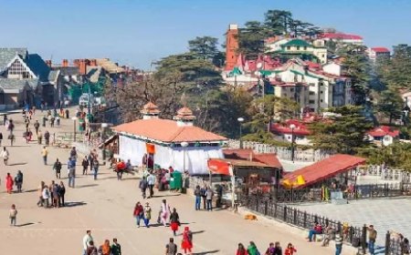 हिमाचल के पर्यटक स्थल पर्यटकों से गुलजार, होटलों में एडवांस बुकिंग, सडक़ों पर लग रहा जाम