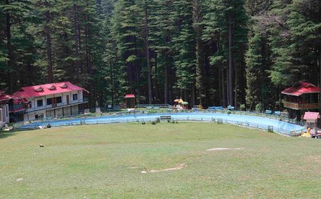 पर्यटकों के आकर्षण का केंद्र बना देवदार के घने जंगल में देवीदढ़ का खुला मैदान  