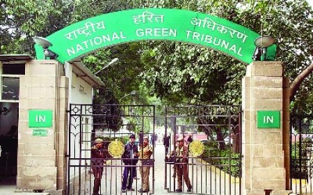 पर्यावरण संरक्षण के लिए हाई पावर कमेटी बांटेगी पैसा,NGT के आदेश पर मुख्य सचिव की अध्यक्षता में समिति का गठन