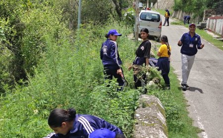 अंतर्राष्ट्रीय नशा निवारण दिवस पर सुन्नी में चलाया भांग उन्मूलन अभियान 