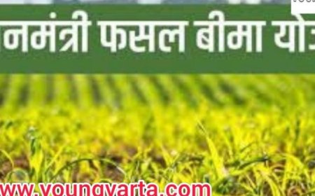 15 जुलाई तक होगा प्रधानमंत्री फसल बीमा योजना के तहत मक्की और धान की फसलों का बीमा