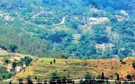 शिमला के पास जाठिया देवी क्षेत्र में 224 हेक्टेयर जमीन पर बनेगी मैग्नेट सिटी 