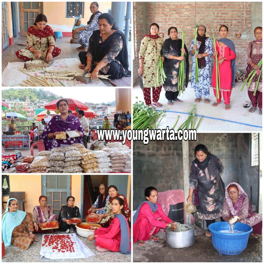 महिलाओं को आत्मनिर्भर बना रहा नवज्योति स्वयं सहायता समूह , हाथ के हुनर और सरकार के सहयोग से लिखी सफलता की कहानी