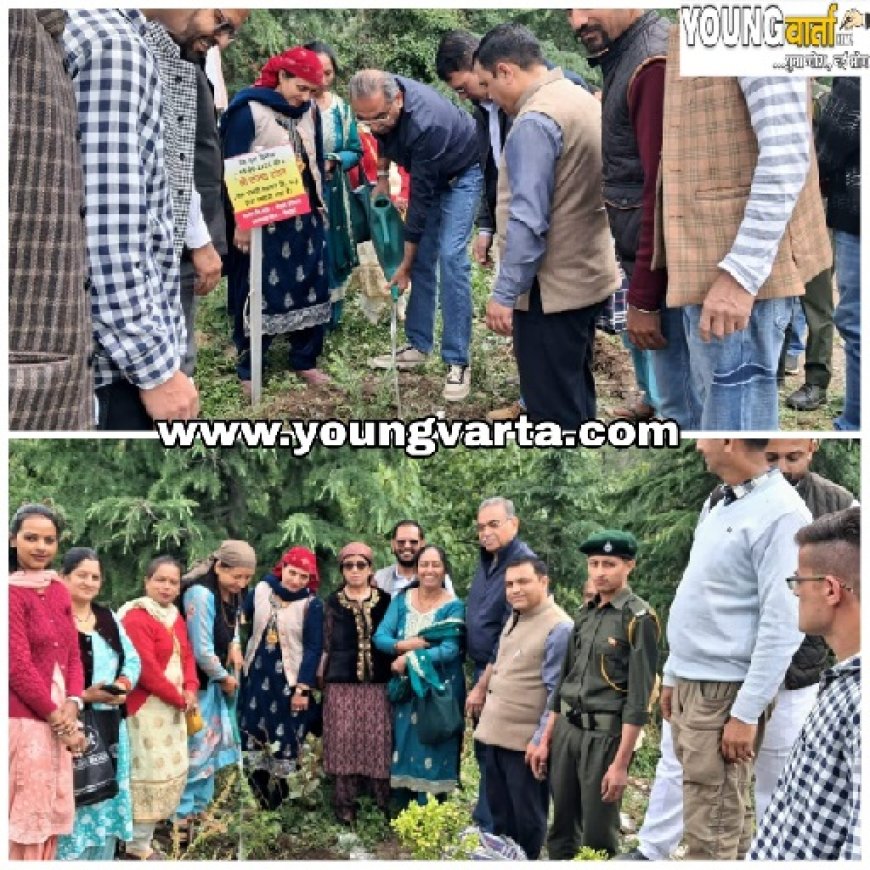 विश्व पर्यावरण दिवस ठियोग विधानसभा में संजय टंडन अगुवाई में “एक पेड़ माँ के नाम” अभियान के तहत पौधारोपण