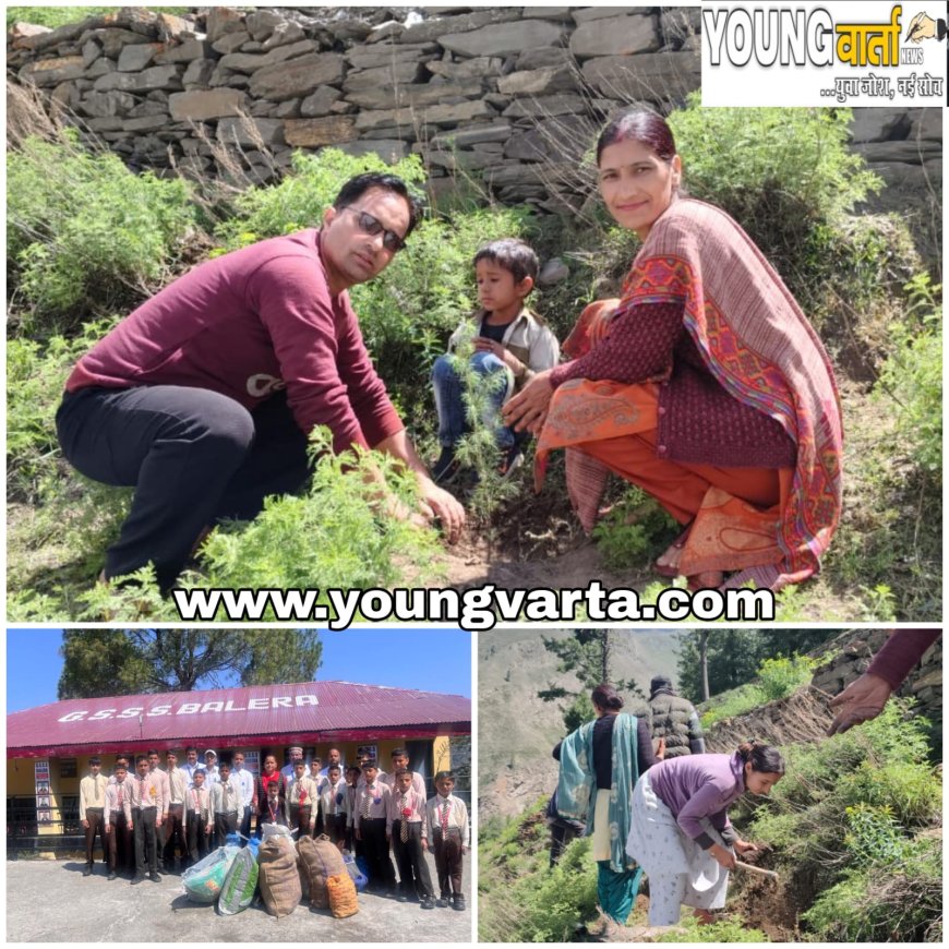 हिमाचल के इस जिला के 11 विद्यालयों में एक पेड़ मां के नाम-2 का आगाज, पहले दिन रोपे 585 पौधे