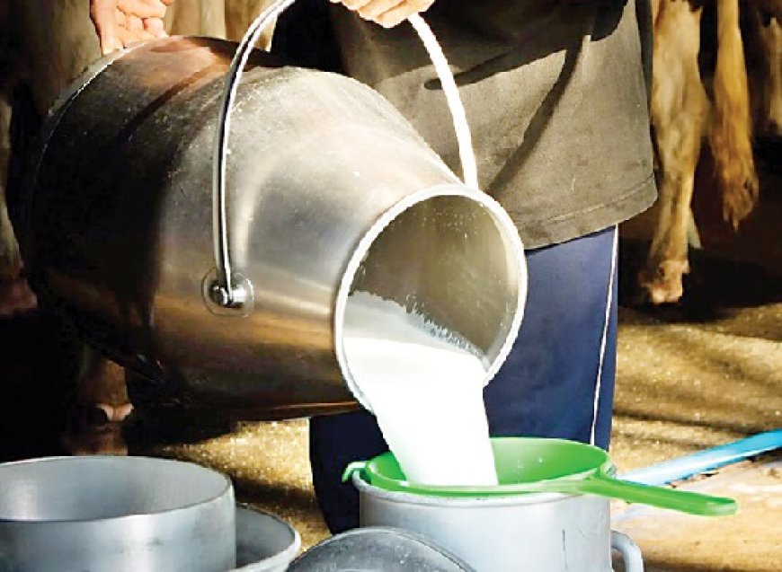 प्रदेश के पशुपालकों से प्रतिदिन 2.32 लाख लीटर दूध खरीदकर ग्रामीण अर्थव्यवस्था को सुदृढ़ कर रही सरकार