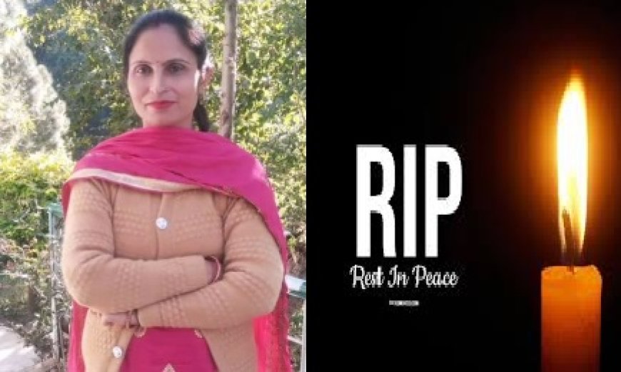 औद्योगिक क्षेत्र बद्दी के नालागढ़ नेशनल हाईवे-105 पर दर्दनाक सड़क हादसे में 38 वर्षीय महिला की मौत