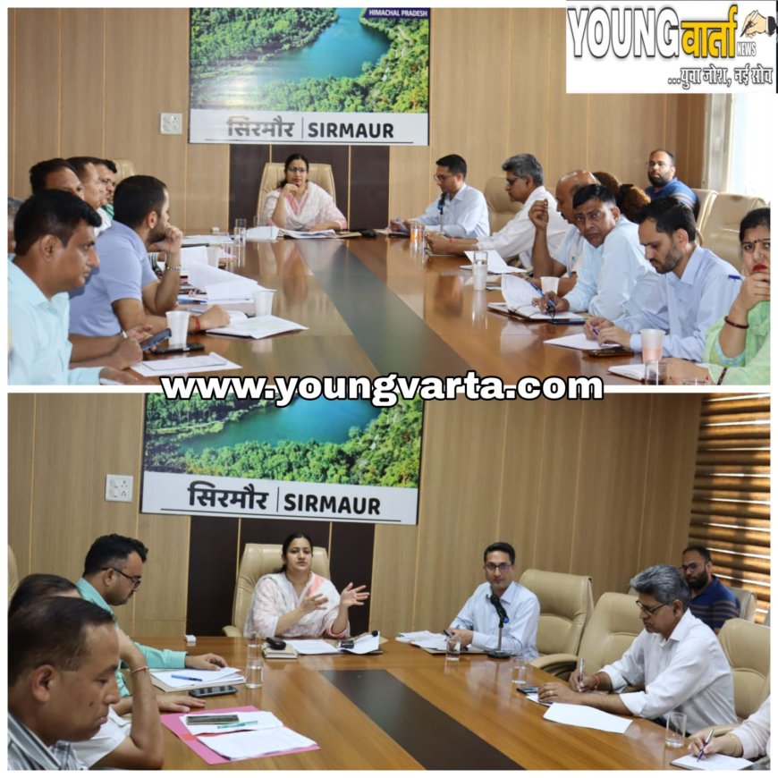 मानसून में आपदा से निपटने के लिए तत्पर रहे विभाग , उपायुक्त ने अधिकारियों को दिए आवश्यक निर्देश