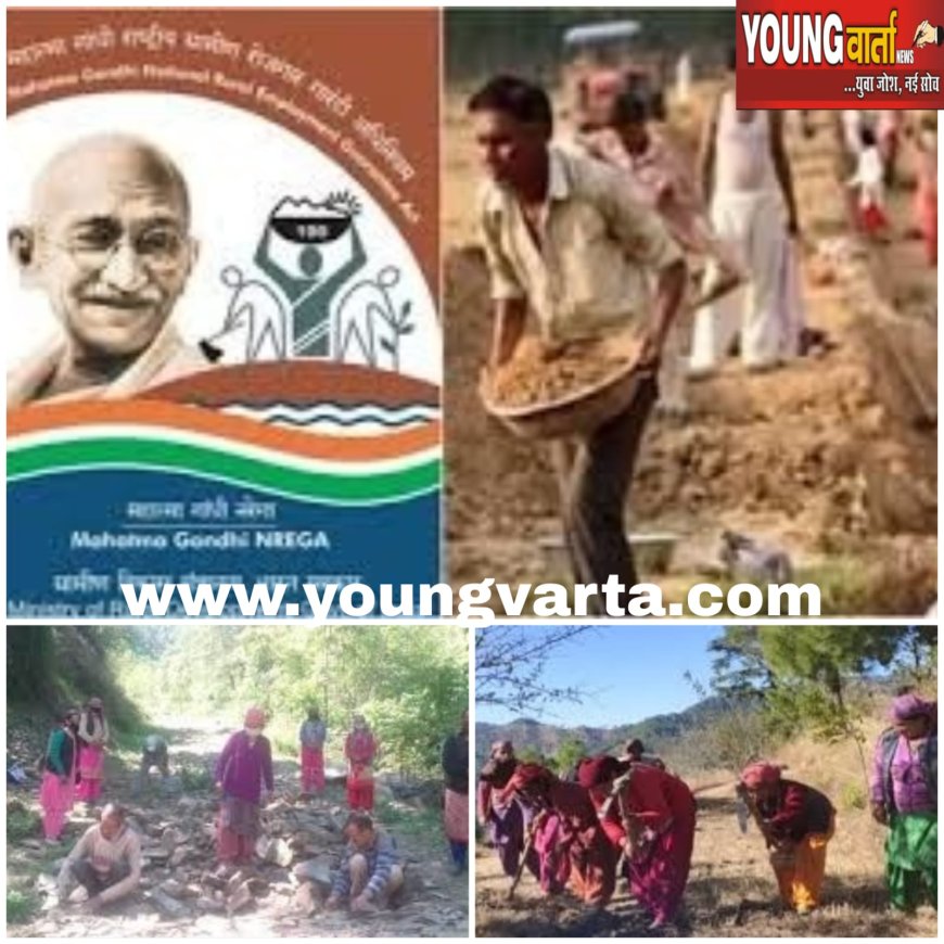 बिना धन के कैसे होंगे ग्राम पंचायतों में विकास कार्य , केंद्र सरकार ने रोका मनरेगा का बजट