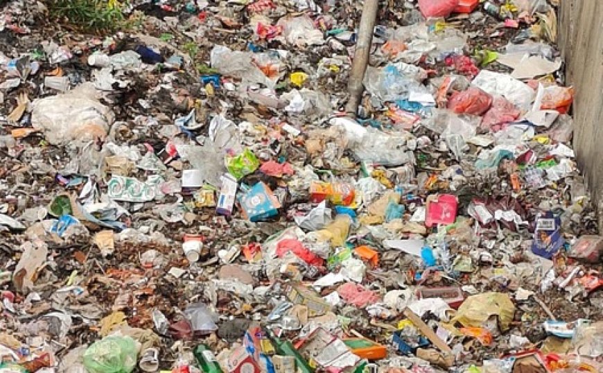 गगल एयरपोर्ट के आसपास लगते क्षेत्र में लगे कचरे के ढेर और मीट के अवशेष बन सकते हवाई हादसे का कारण