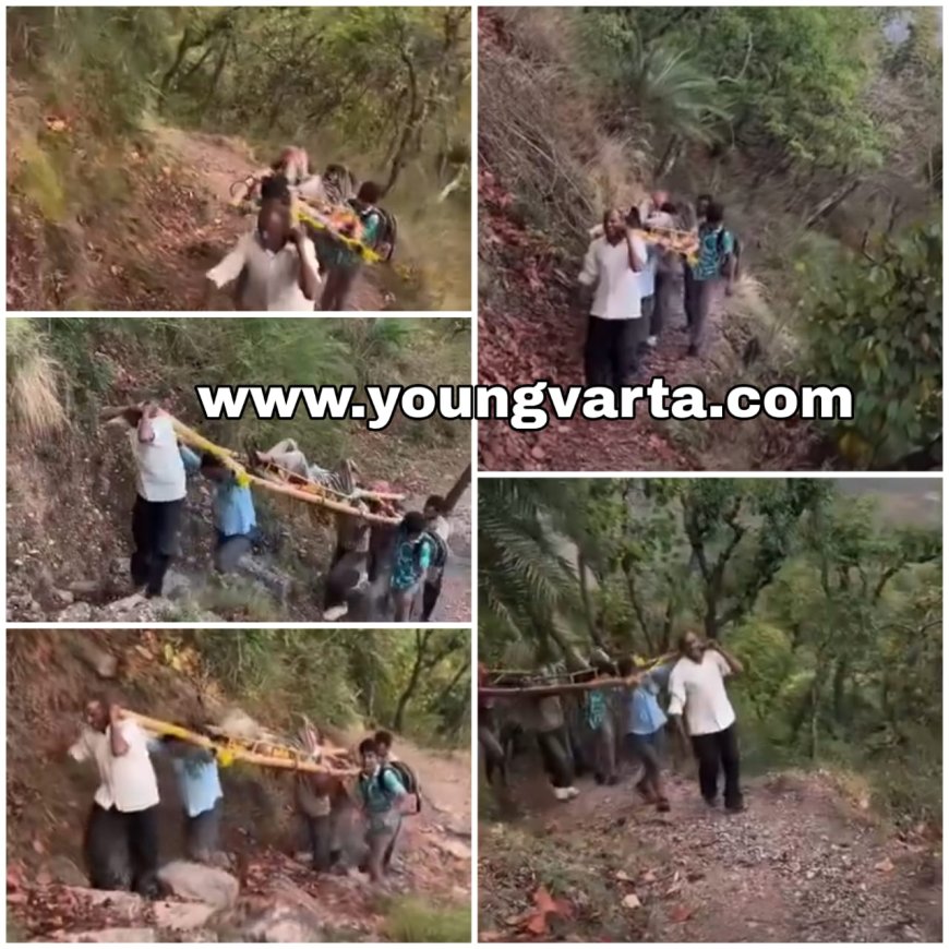बांस के डंडों पर सुक्खू सरकार , बिना सड़क के चारपाई पर अस्पताल पहुंचा रहे मरीज