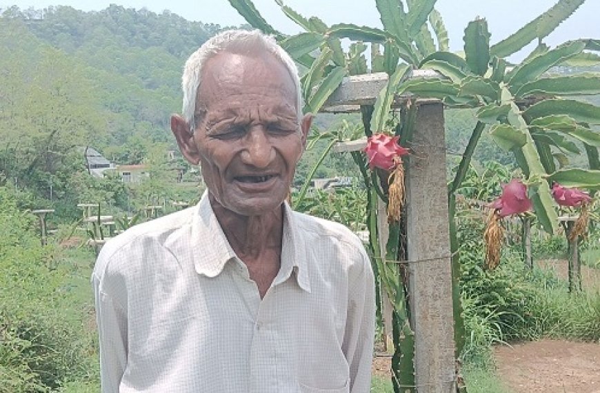 74 की उम्र में नवाचार की खेती, बंगाणा के रोशन लाल ने रची आत्मनिर्भरता की कहानी