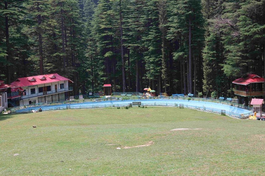 पर्यटकों के आकर्षण का केंद्र बना देवदार के घने जंगल में देवीदढ़ का खुला मैदान  