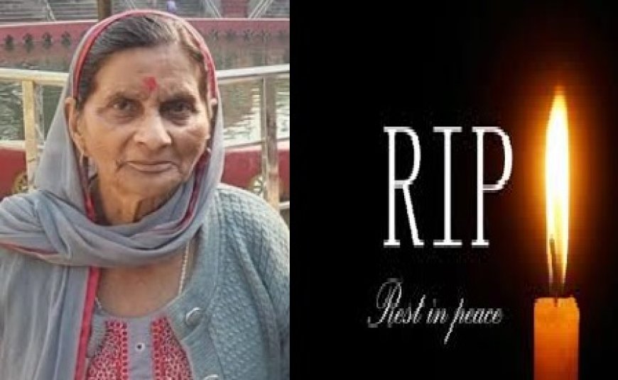शिमला में बीते 5 दिन से लापता बुजुर्ग महिला संजोगता नाग का कनलोग क्षेत्र के जंगल में शव बरामद 