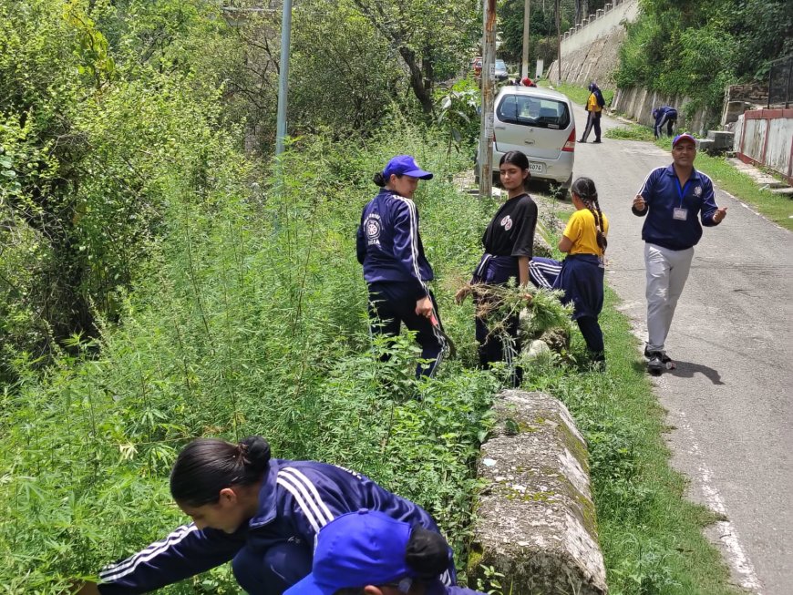 अंतर्राष्ट्रीय नशा निवारण दिवस पर सुन्नी में चलाया भांग उन्मूलन अभियान 