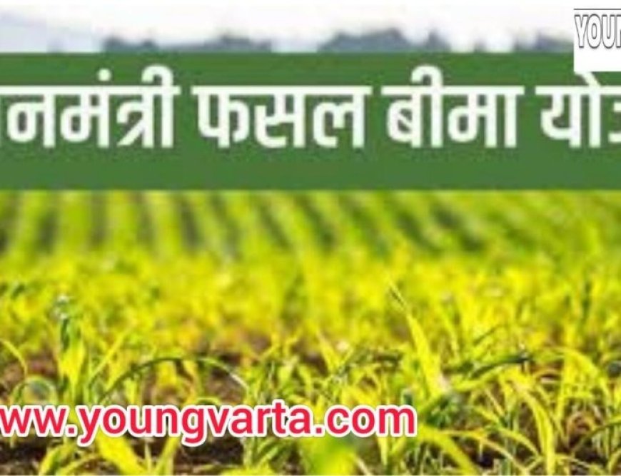 15 जुलाई तक होगा प्रधानमंत्री फसल बीमा योजना के तहत मक्की और धान की फसलों का बीमा