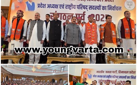 2027 में हिमाचल प्रदेश में कमल खिलाना डा. बिंदल का एकमात्र लक्ष्य , पार्टी के लिए दिनरात करेंगे कार्य