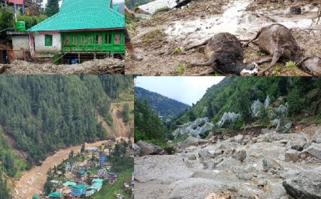 प्रदेश में आपदा से अब तक 1,200 से ज्यादा मकान क्षतिग्रस्त, 52 लोगों का अभी तक कोई सुराग नहीं