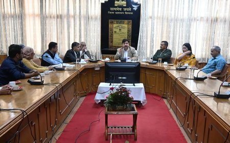 लूहरी जल विद्युत परियोजना के प्रभावितों की मांगों पर उठाए जाएंगे सकारात्मक कदम : उपायुक्त