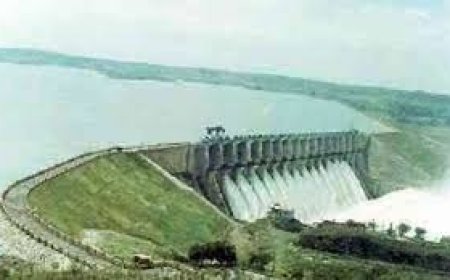 पौंग झील में मिली महिला की गली-सड़ी लाश , नहीं हो पाई पहचान , जाँच में जुटी पुलिस 